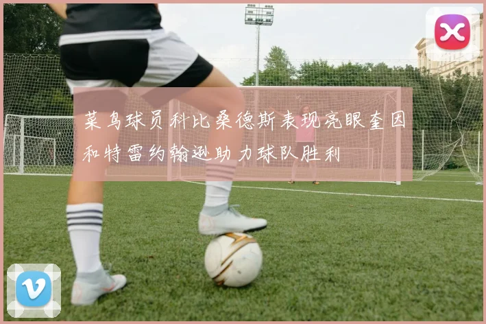 菜鸟球员科比桑德斯表现亮眼奎因和特雷约翰逊助力球队胜利