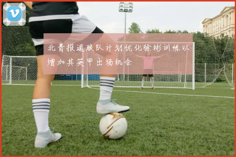 北青报道狼队计划优化徐彬训练以增加其英甲出场机会