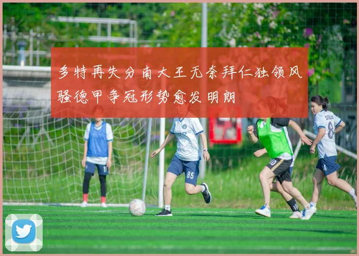 多特再失分南大王无奈拜仁独领风骚德甲争冠形势愈发明朗